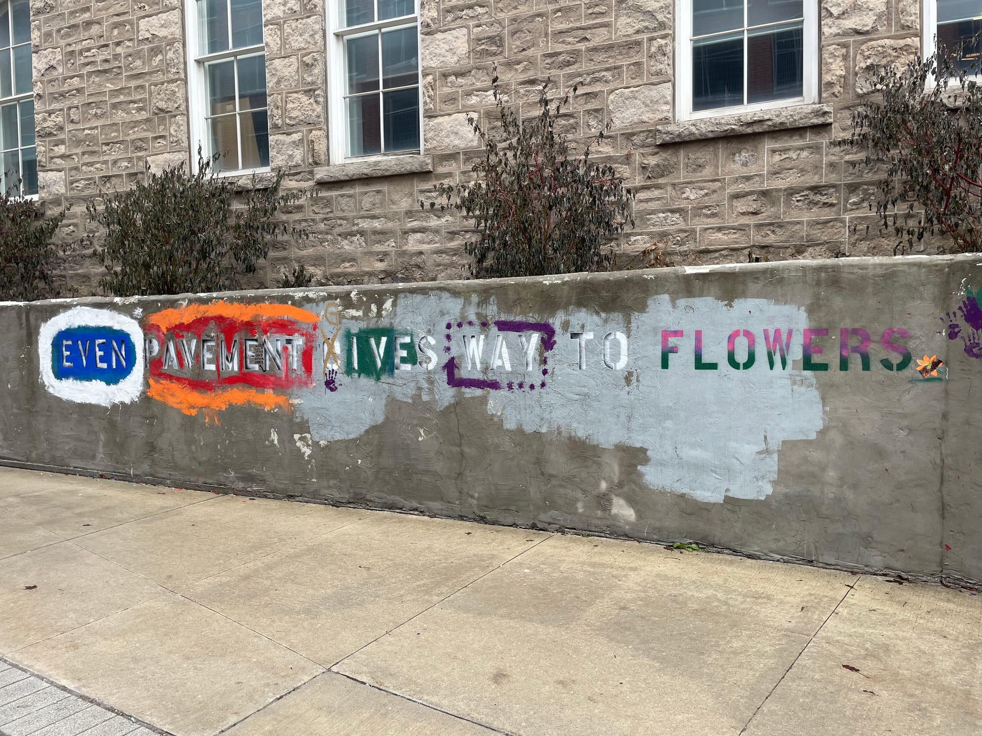 Mural in Guelph: Even Pavement Gives Way To Flowers