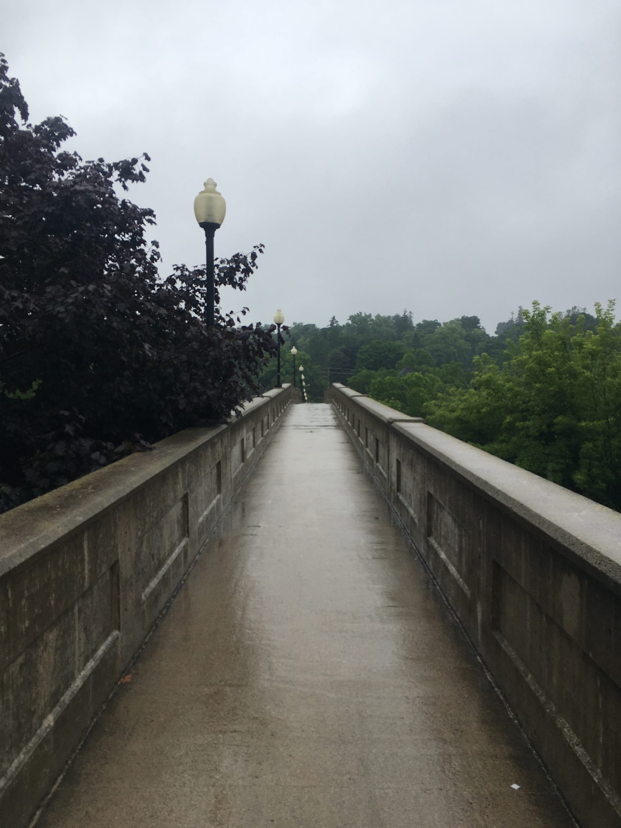 Rainy Morning in Guelph ON